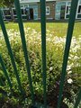 IMG_20220607_093539_981.jpg