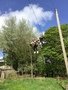 6DBD1363-C7E4-4803-B41A-5F67061CECE2.jpeg