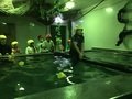 IMG_1001.JPG