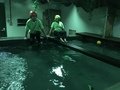 0F68A19C-B308-4623-88DD-0B532BC86EC4.jpeg