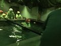 1DFE6309-6063-4698-9FFF-2EB8E3215E02.jpeg