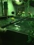 2FF20876-9348-46B4-9D18-9C6B35AE4831.jpeg