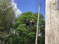 644B83AD-A96F-439A-98A5-8548CC6DF027.jpeg