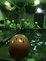 187433D3-92F5-46D8-B1E7-7BBED529AC3E.jpeg