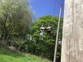 C2710C33-0C40-45D0-9226-1EF910EA2660.jpeg