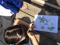 Y2 geography Field work 