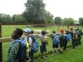 IMG_6369.jpeg
