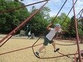 IMG_6391.jpeg