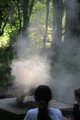 IMG_0417.JPG