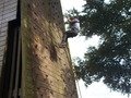 DSCN0066.JPG