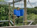 thumbnail_IMG_2486.jpg