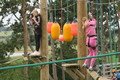 IMG_0738.JPG