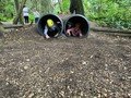 thumbnail_IMG_2582.jpg
