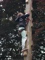 DSCN0341.JPG