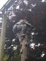 DSCN0383.JPG