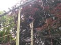 DSCN0357.JPG