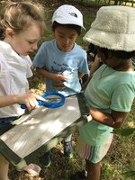 IMG_3926.JPG