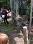 IMG_2891.JPG