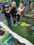 A farm came to school in the summer holidays