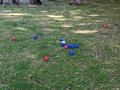 PXL_20220711_082729290.jpg