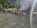 PXL_20220711_084212225.jpg