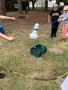 IMG_0627.JPG