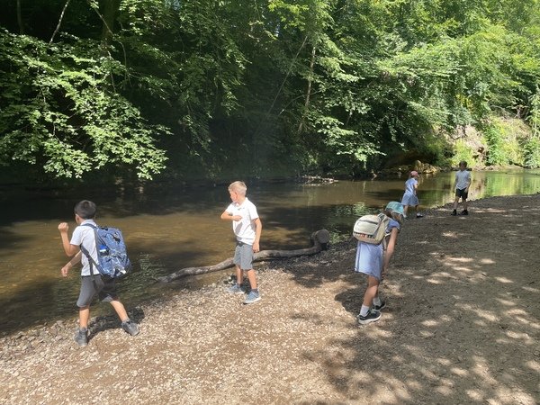 River Nidd Photo 2.jpeg