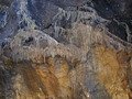 D0313g5ML.JPG