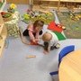 IMG_2651.JPG