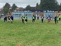 410.JPG