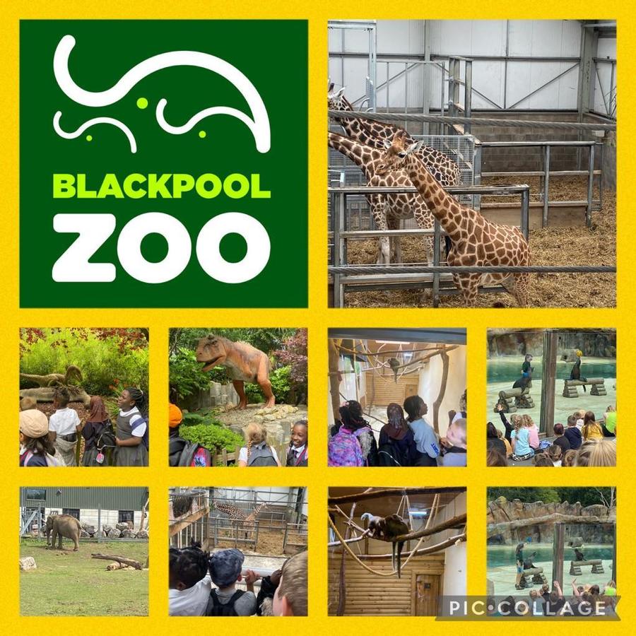 On 26th July EYFS & KS1 attended Blackpool Zoo