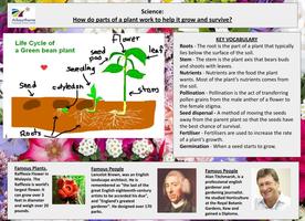 Y3  Knowledge Organiser Science - Summer Term (4).jpg