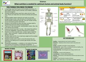 Y3  Knowledge Organiser Science - Summer Term (2).jpg