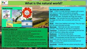 Y1 Knowledge Organiser - SCIENCE_ - Summer 2021.jpg