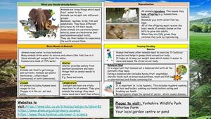 Y2 Summer knowledge organiser (2).jpg