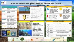 Y2 Summer knowledge organiser (1).jpg