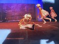 IMG_5749.JPG