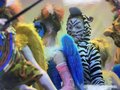 IMG_5851.JPG