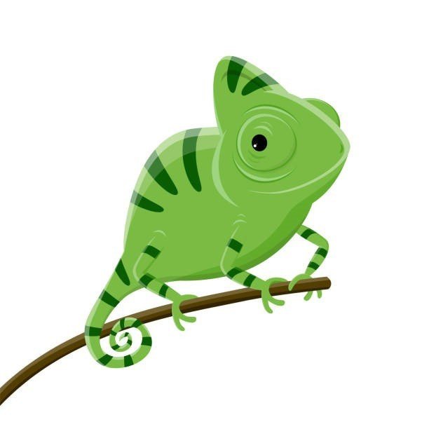 Courageous chameleon