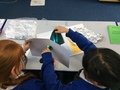 Y3 Science reflective materials 