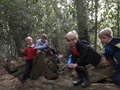 w4 forest school 2.png