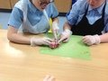 IMG_8781.JPG