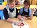 IMG_8795.JPG