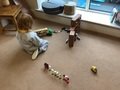 IMG_5711.jpeg