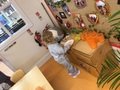 IMG_5714.jpeg