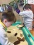 IMG_5737.jpeg
