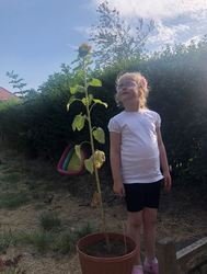 Home Learning 9.JPG