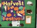 Y4 Harvest 