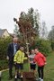 Tree Plant 4.JPG