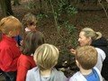 wk 5 forest school 6.jpg